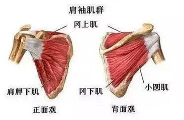 如何在有限时间内最大化篮球训练效果的策略_2