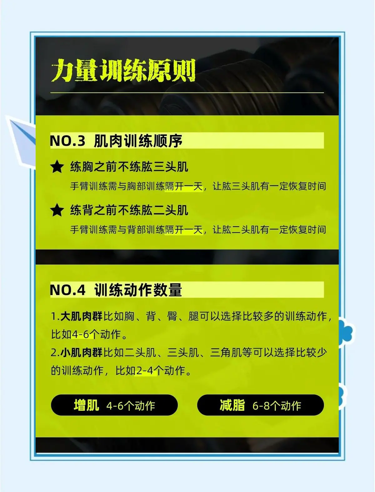 如何设计适合大前锋的力量训练课程?